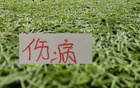 本赛季！申花已有4个球员经历手术治疗 分别是李可 龙哥 盖伊 金顺凯