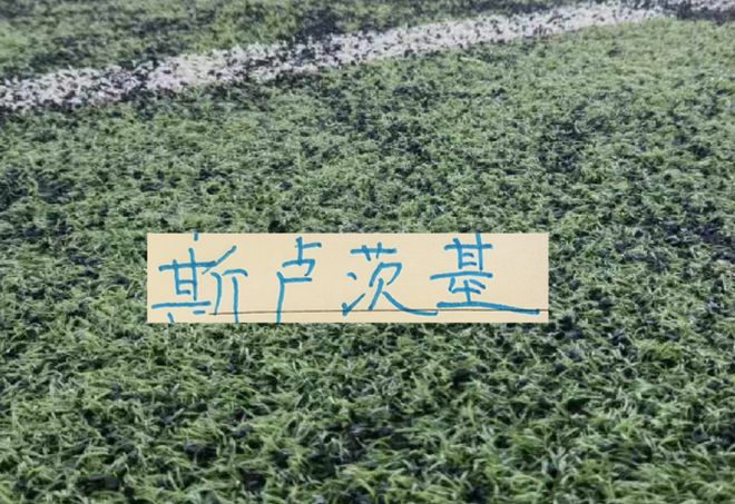申花官宣斯卢茨基不再担任一线队主教练