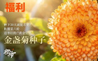 橙柿秋播第六轮，送金盏菊种子丨CBA新赛季启幕，请你看浙商证券男篮主场首秀
